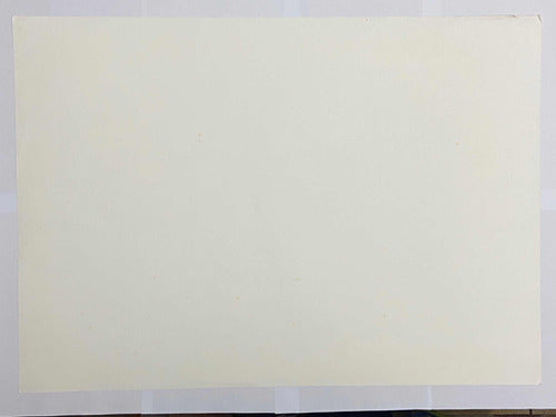 Quadro Gravura Antiga Árvore Da Vida Colorida E Assinada