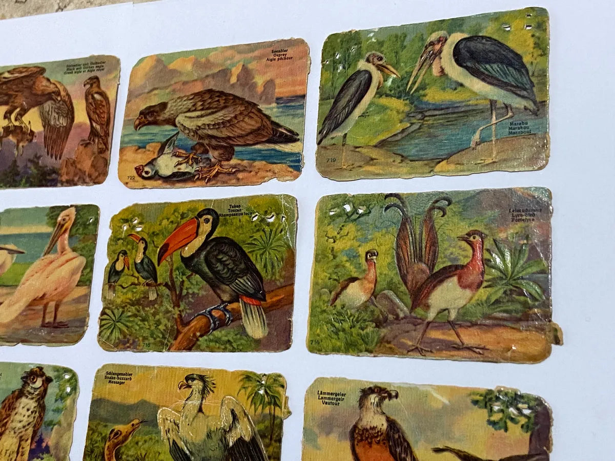 Cartas Antigas Alemanha Stadtsparkasse Deggendorf Pássaros