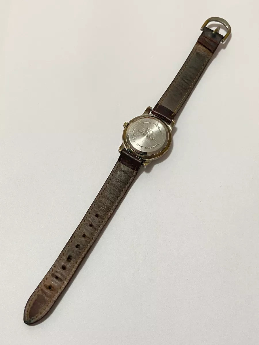 Relógio Antigo Suíço Mountaineer Voyager 50m Water Resist