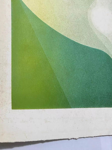 Quadro Gravura Antiga *pássaro* Assinada E Numerada