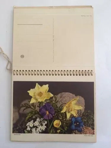 Antigo Calendário Com Pinturas Floridas 1955