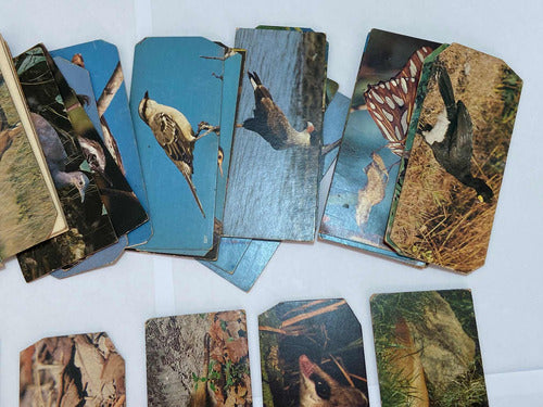 Antigas Figurinhas Cards Surpresa Nestle