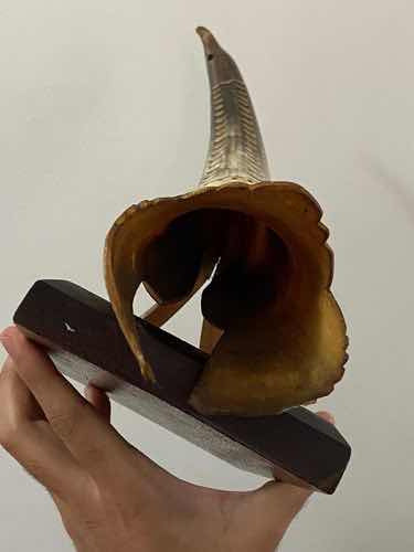 Antigo Chifre De Boi Decoração