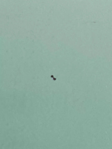 Quadro Gravura Antiga Arte Gravura Paulo Calazans 89 - Varal