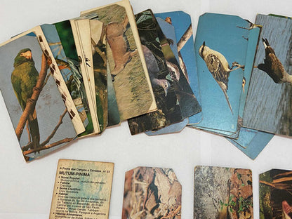 Antigas Figurinhas Cards Surpresa Nestle