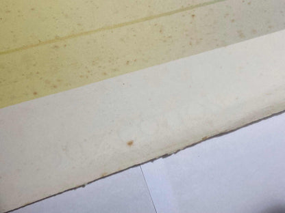 Quadro Antiga Serigrafia Pa - Refração - Inacio Rodrigues