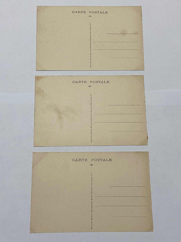 Antiga Coleção Cartões Postais Fotos De Animais Museu Paris