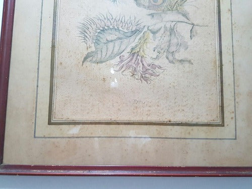 Antigo Quadro Borboletas