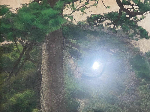 Quadro Antigo Montanhas Em Tecido - Moldura Dourada