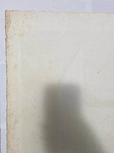 Quadro Gravura Antiga *pássaro* Assinada E Numerada