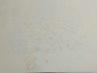 Quadro Gravura Antiga Cidade Prédios Assinada E Numerada