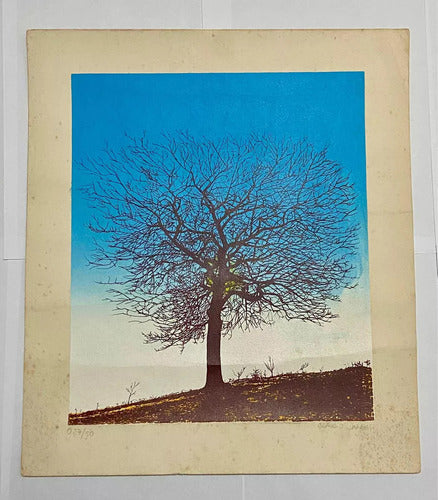 Quadro Gravura Antiga Arvore Assinada Claudio Dantas