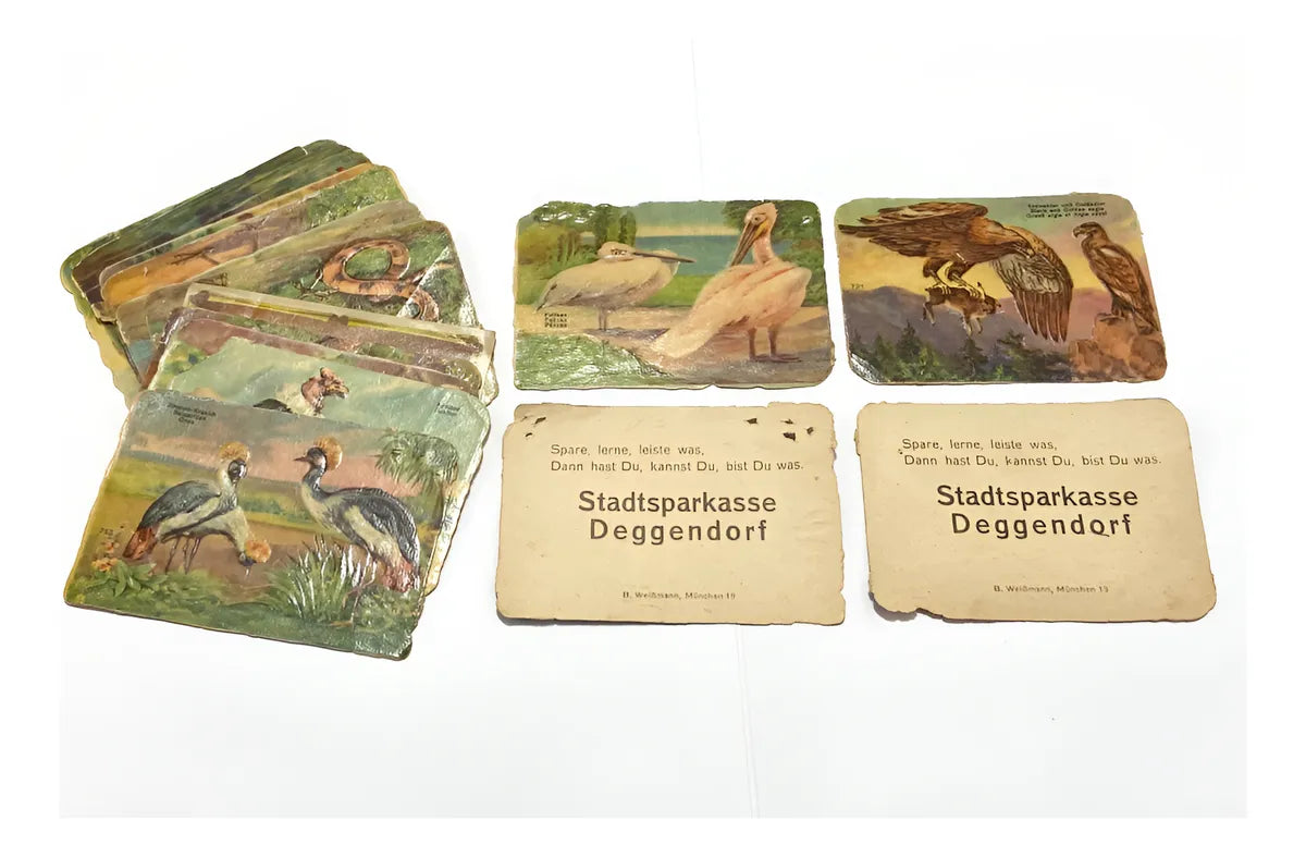 Cartas Antigas Alemanha Stadtsparkasse Deggendorf Pássaros