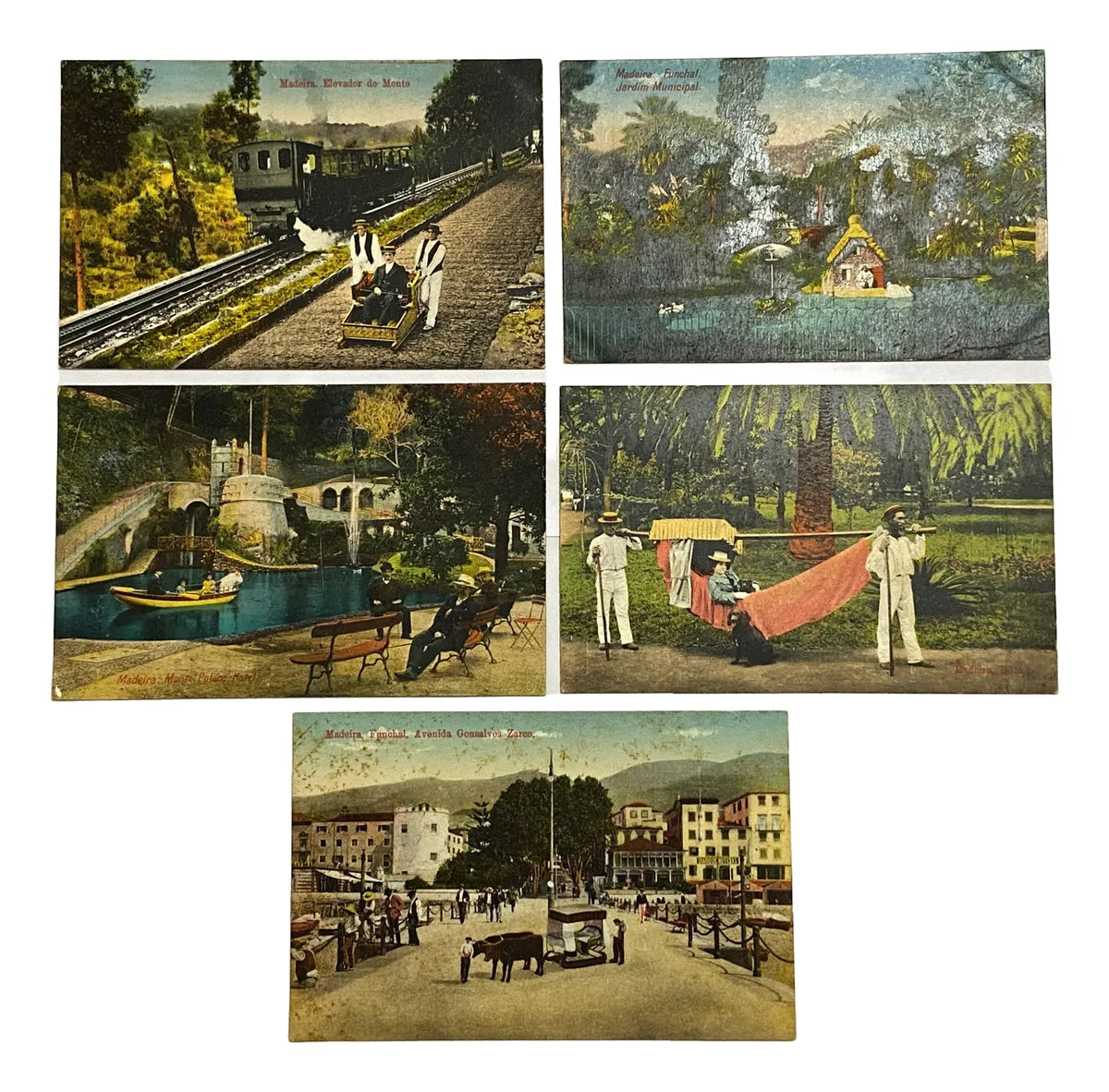 Cartões Postais Antigos Madeira Portugal Início Do Séc. Xx