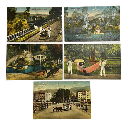 Cartões Postais Antigos Madeira Portugal Início Do Séc. Xx