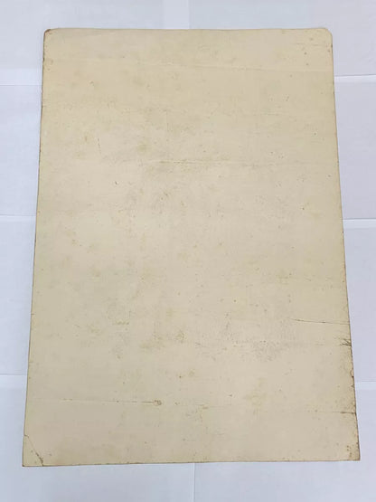 Gravura Antiga Paisagem Com Forte E Coqueiros Assinada