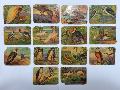 Cartas Antigas Alemanha Stadtsparkasse Deggendorf Pássaros