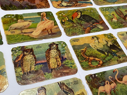 Cartas Antigas Alemanha Stadtsparkasse Deggendorf Pássaros