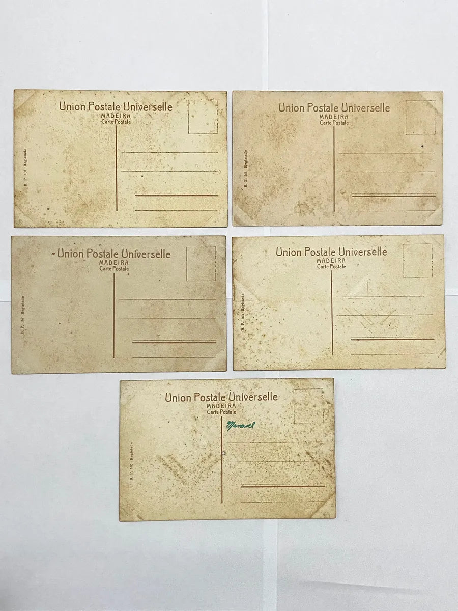 Cartões Postais Antigos Madeira Portugal Início Do Séc. Xx