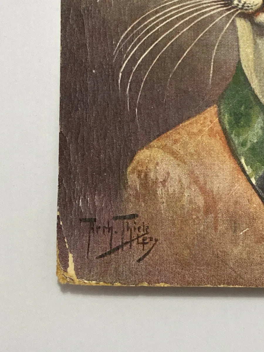 Cartão Postal Antigo Arthur Thiele Gato Elegante