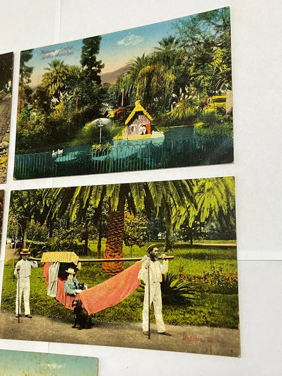 Cartões Postais Antigos Madeira Portugal Início Do Séc. Xx