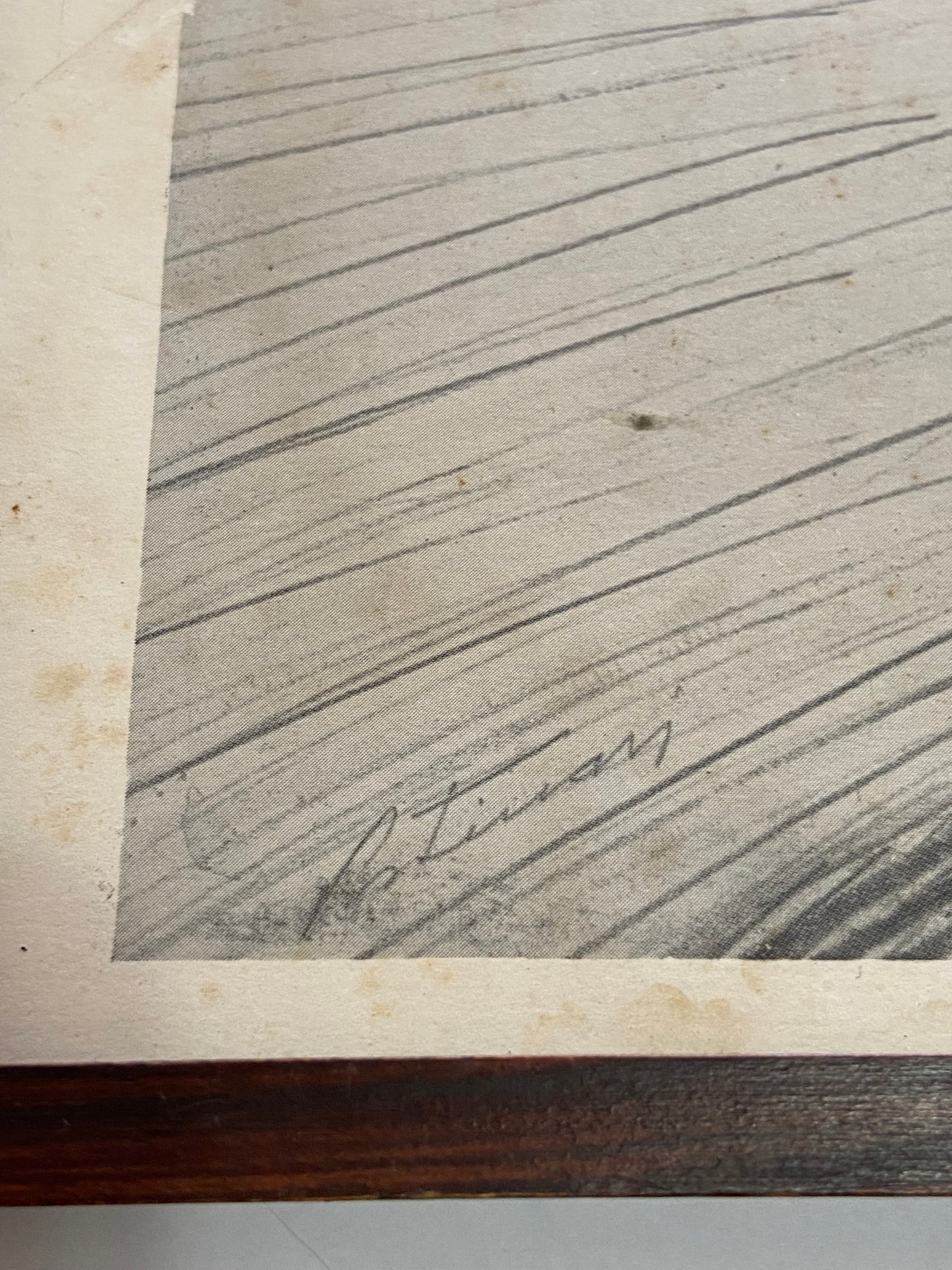 Quadro Gravura Antiga Desenho De Candido Portinari Assinada