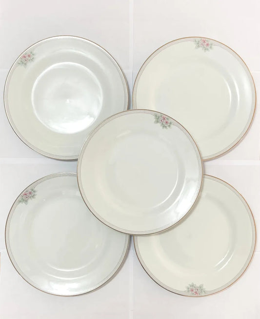 Pratos Porcelana Schmidt Classic 27cm (5pçs) Antigos Branco