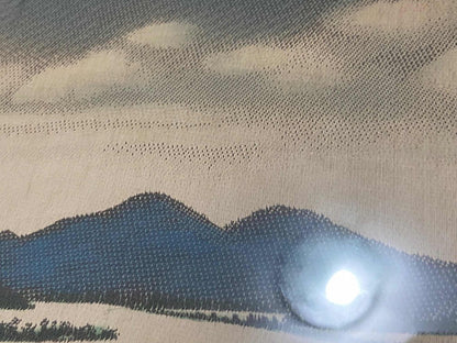 Quadro Antigo Vista Panorâmica em Tecido com Moldura Dourada