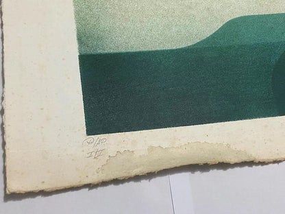 Quadro Gravura Antiga *pássaro* Assinada E Numerada