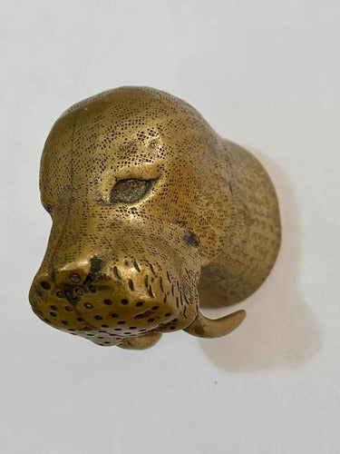 Abridor Antigo De Garrafa Morsa Em Bronze Europeu Dourado