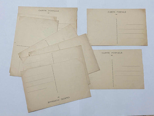 Antiga Coleção Cartões Postais Fotos De Animais Museu Paris