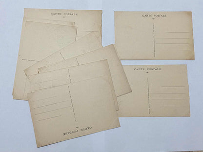 Antiga Coleção Cartões Postais Fotos De Animais Museu Paris