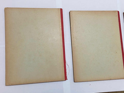 Livro Ilustrado Antigo Ensino Infantil - Lote