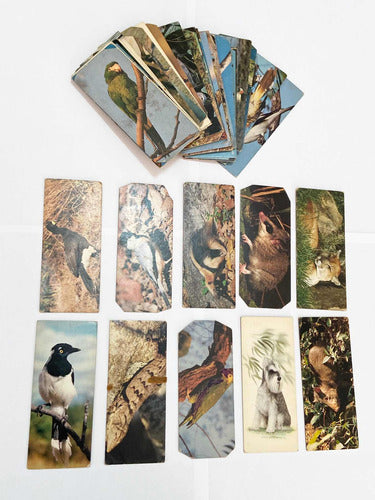 Antigas Figurinhas Cards Surpresa Nestle