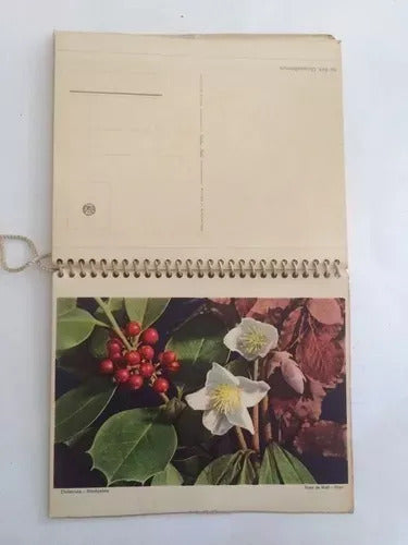 Antigo Calendário Com Pinturas Floridas 1955