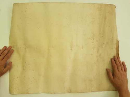 Diploma Antigo Sociedade Portuguesa Beneficente Copag