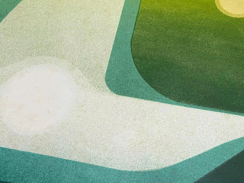 Quadro Gravura Antiga *pássaro* Assinada E Numerada