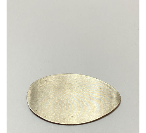 Placa Medalha Antiga 75 Anos Mickey Mouse Club Walt Disney 1