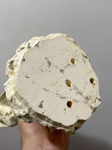 Escultura Antiga Imperador Romano